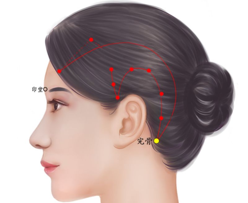 完骨 侧面