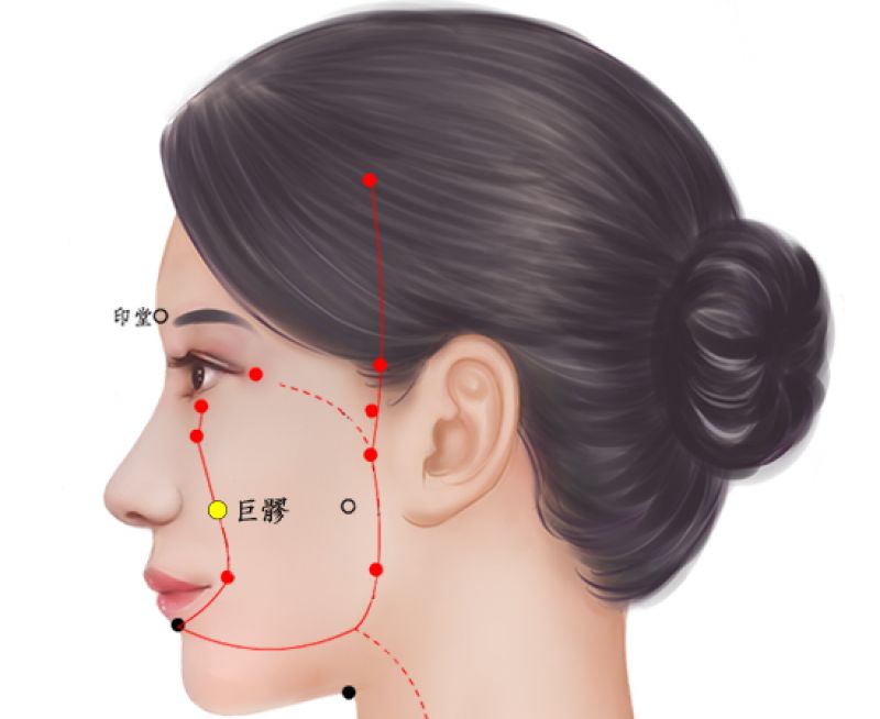 巨髎