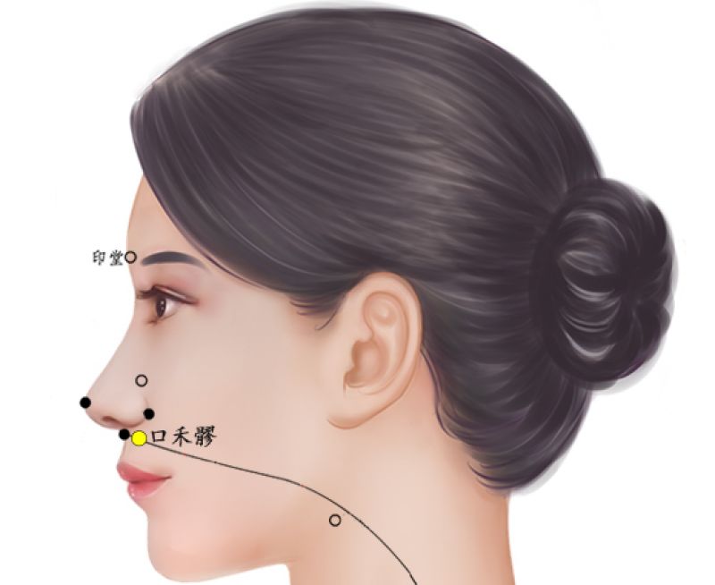 口禾髎