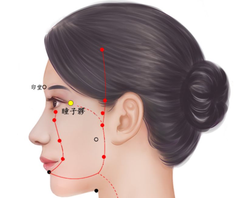 瞳子髎