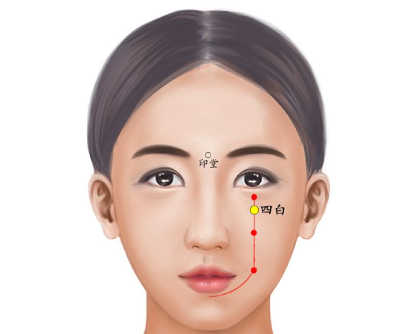 四白 正面