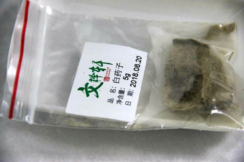 白药子