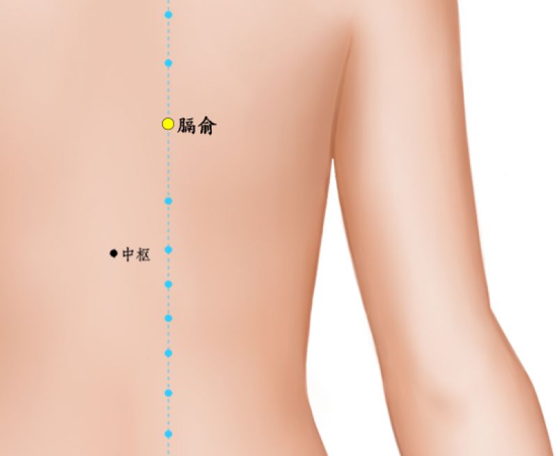 膈俞